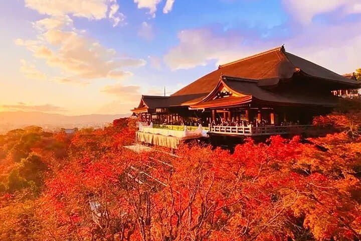 Kyoto Nara Trip Kiyomizu-dera Temple Fushimi Inari & Nara Park — photo 3