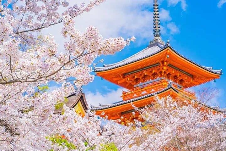 Kyoto Nara Trip Kiyomizu-dera Temple Fushimi Inari & Nara Park — photo 5
