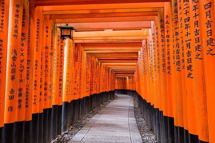 Kyoto Nara Trip Kiyomizu-dera Temple Fushimi Inari & Nara Park — photo 8