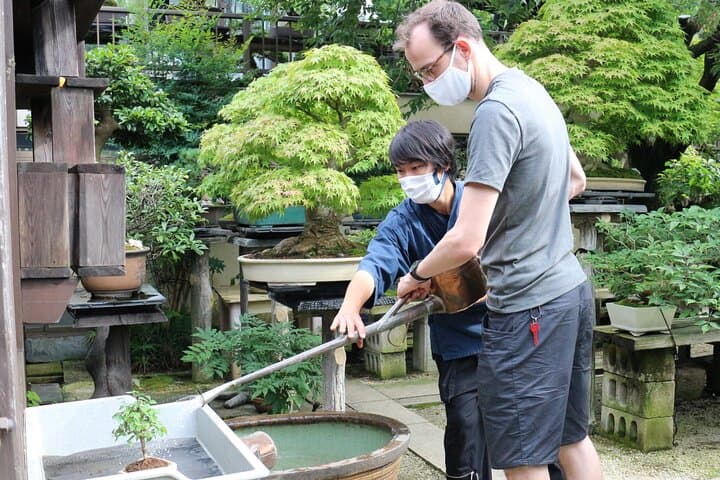 Bonsai Culture Experience for Novices in Tokyo — photo 4