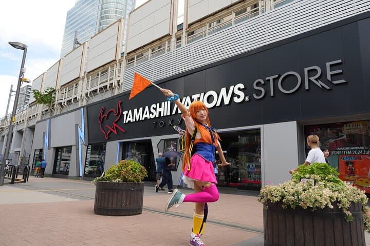 Explore Akihabara Subculture with a Guide and Cosplayer — photo 18