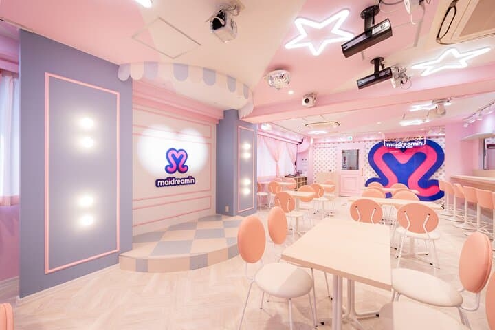 Explore Akihabara Subculture with a Guide and Cosplayer — photo 7