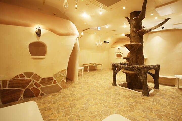 Tokyo Cat Cafe in Kichijoji - Castle Themed — photo 3
