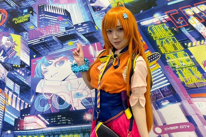 Explore Akihabara Subculture with a Guide and Cosplayer — photo 14