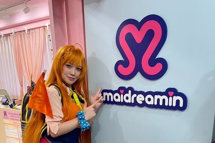 Explore Akihabara Subculture with a Guide and Cosplayer — photo 8