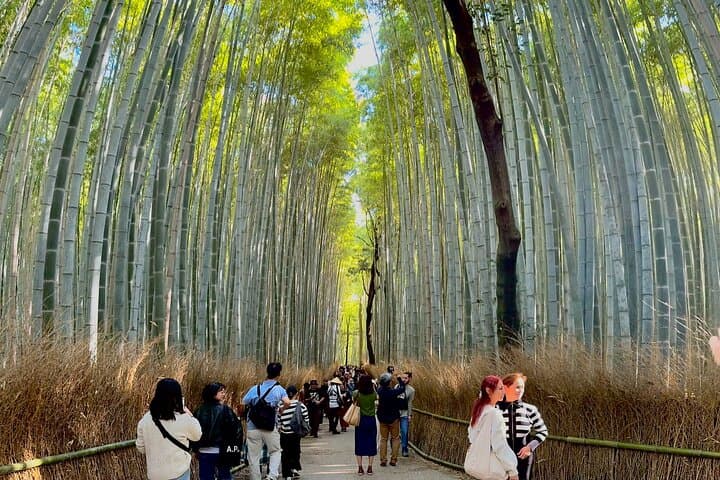 Private Kyoto Customizable Day Tour with English Speaking Driver — photo 10