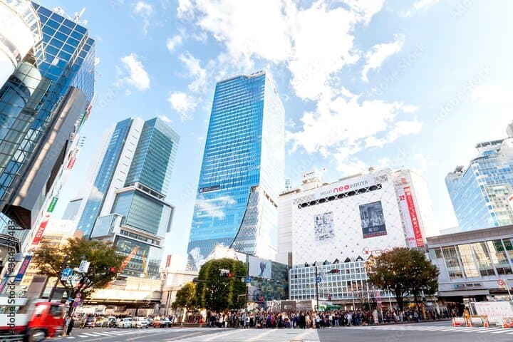 Private Tokyo Custom Half-Day Tour by Chartered Vehicle — photo 4