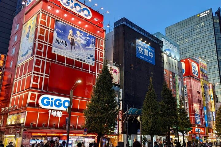 Private tour Tokyo Otaku visit places on anime and manga — photo 4