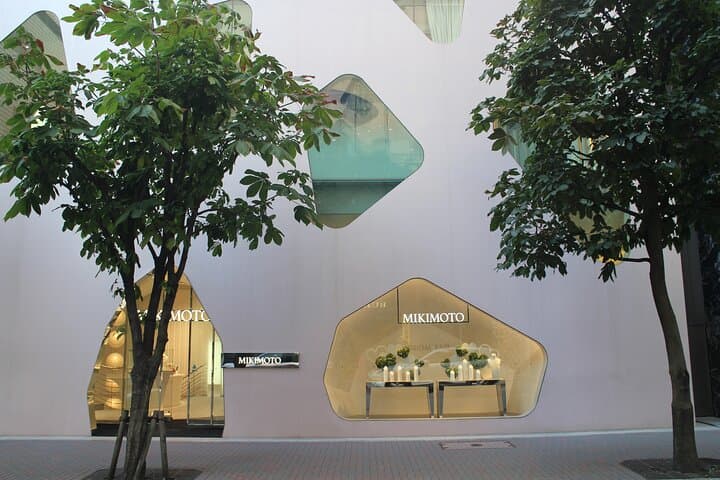 Small-Group Architecture Tour in Ginza, Tokyo — photo 10