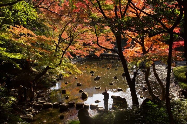 Red, Yellow and Brown - Visit autumn leaves spots in Tokyo — photo 2