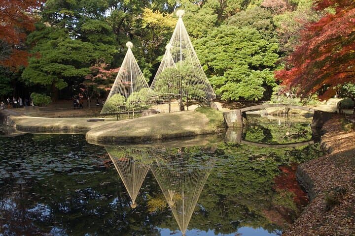 Red, Yellow and Brown - Visit autumn leaves spots in Tokyo — photo 3