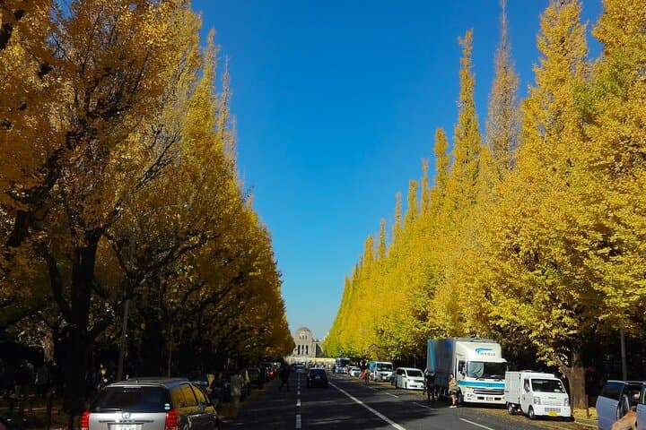 Red, Yellow and Brown - Visit autumn leaves spots in Tokyo — photo 6