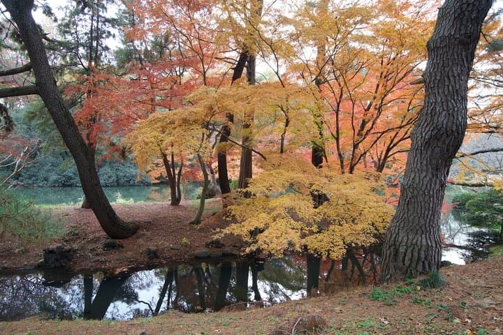 Red, Yellow and Brown - Visit autumn leaves spots in Tokyo — photo 9