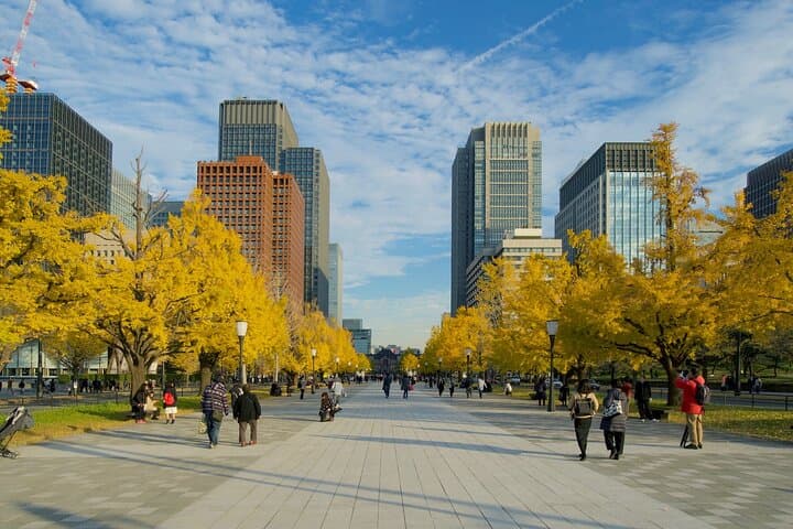 Red, Yellow and Brown - Visit autumn leaves spots in Tokyo — photo 11