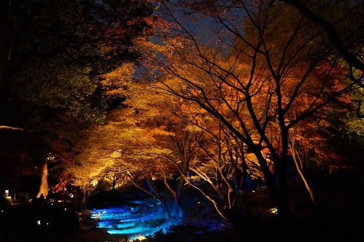 Red, Yellow and Brown - Visit autumn leaves spots in Tokyo — photo 14