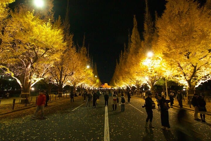 Red, Yellow and Brown - Visit autumn leaves spots in Tokyo — photo 15