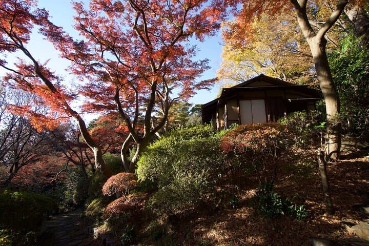 Red, Yellow and Brown - Visit autumn leaves spots in Tokyo — photo 16