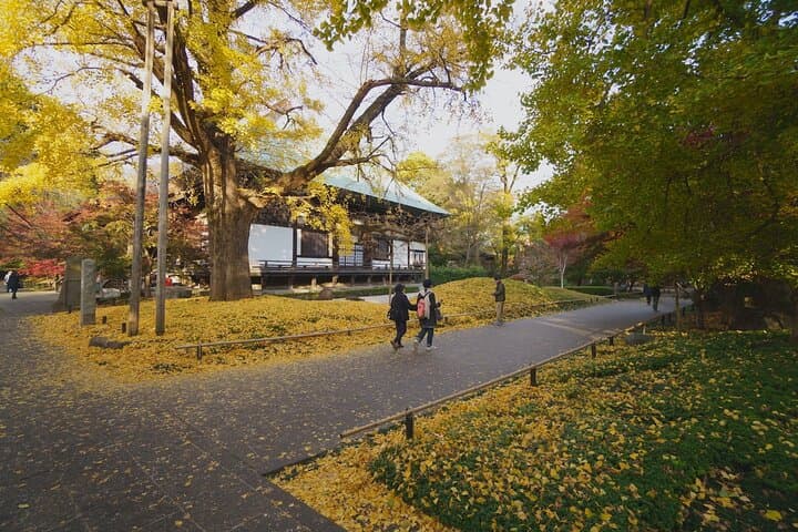 Red, Yellow and Brown - Visit autumn leaves spots in Tokyo — photo 17