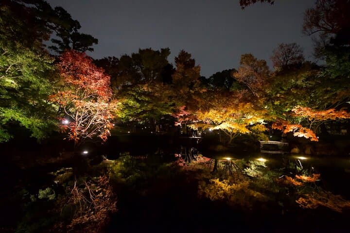 Red, Yellow and Brown - Visit autumn leaves spots in Tokyo — photo 20