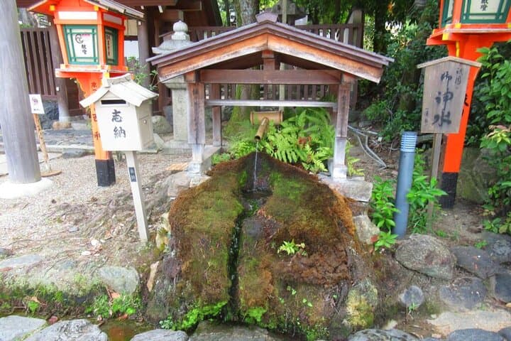 Kyoto: Temple Yoga, Tour of Four Spring Waters & Nourishing Lunch — photo 2