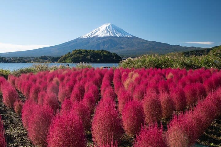 Experience the Stunning Nature of Mt.Fuji - Private Tour — photo 20