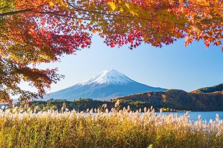 Experience the Stunning Nature of Mt.Fuji - Private Tour — photo 19