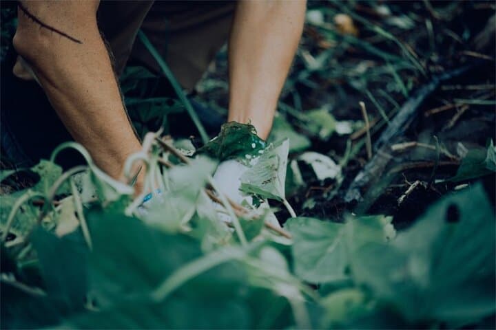 A Gastronomic Tour Exploring the Cycle of Nature and Food — photo 3