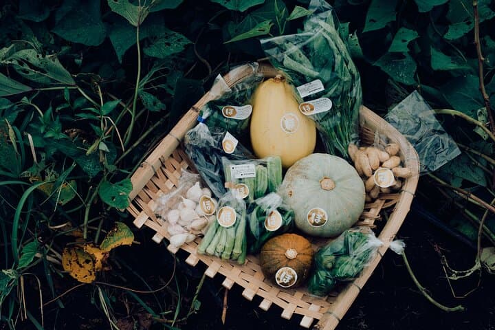 A Gastronomic Tour Exploring the Cycle of Nature and Food — photo 12