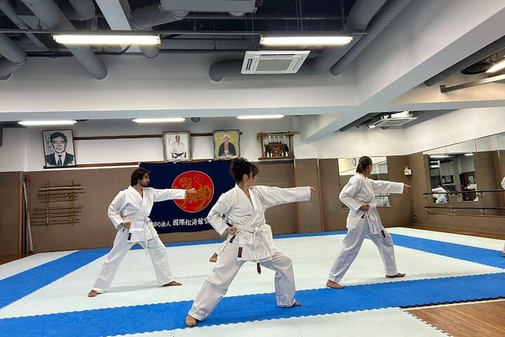 Karate Experience with the Shotokan Karate-do Instructor — photo 5