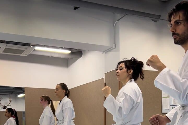 Karate Experience with the Shotokan Karate-do Instructor — photo 11