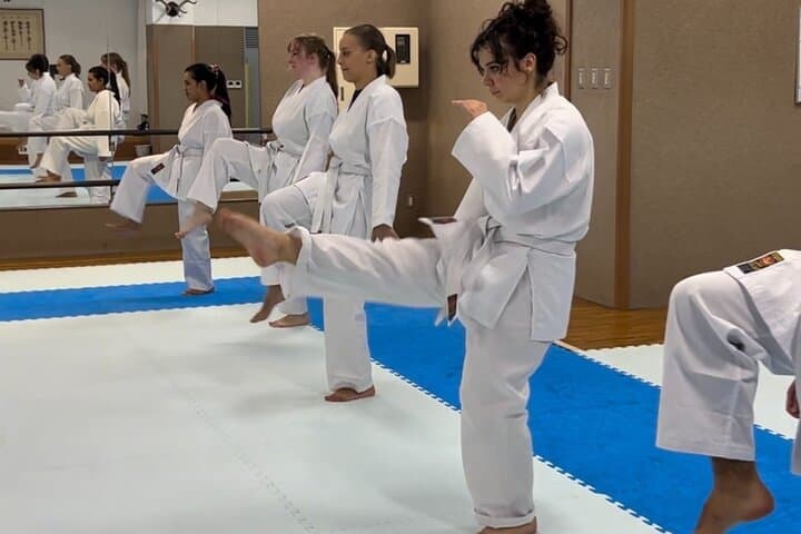 Karate Experience with the Shotokan Karate-do Instructor — photo 13