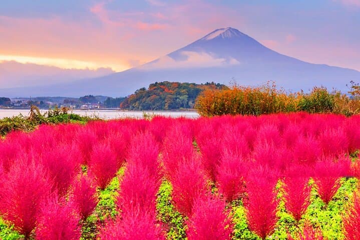 Mt Fuji Pilgrimage Full Day Tour with 7 Must See Scenic Spots — photo 9