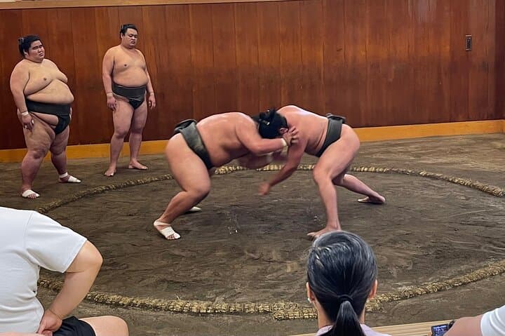 Chair Seat Guaranteed SUMO Practice +Photo +Culture Option — photo 2