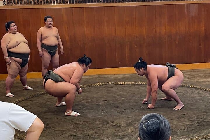 Chair Seat Guaranteed SUMO Practice +Photo +Culture Option — photo 3