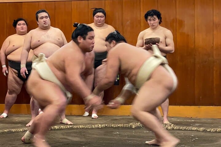Chair Seat Guaranteed SUMO Practice +Photo +Culture Option — photo 7