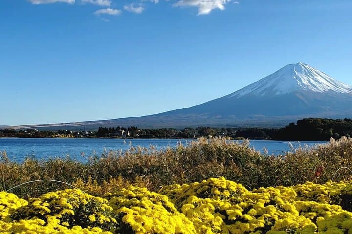 Mount Fuji Full-Day Private Tour from Yokohama Customizable — photo 14