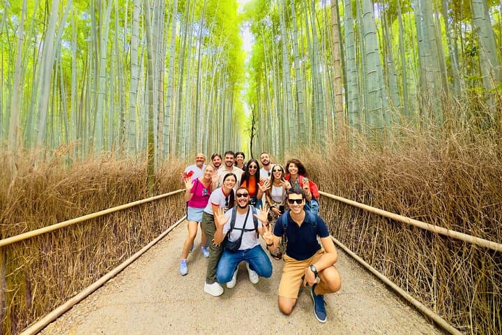 Ultimate Kyoto Arashiyama Tour: Bamboo, Monkeys & Hidden Gardens — photo 10