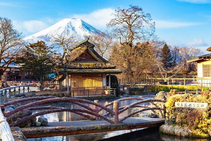 Mt Fuji Exploration Tour with Free Japanese Kusa Mochi from Tokyo — photo 8
