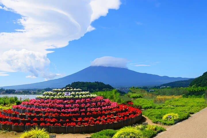 Mt Fuji Exploration Tour with Free Japanese Kusa Mochi from Tokyo — photo 5