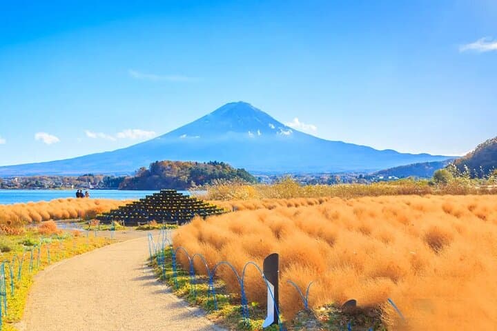 Mt Fuji Exploration Tour with Free Japanese Kusa Mochi from Tokyo — photo 9