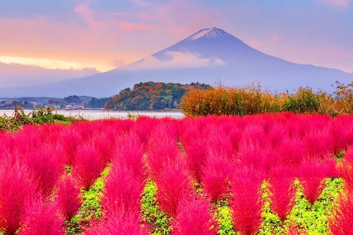 Mt Fuji Exploration Tour with Free Japanese Kusa Mochi from Tokyo — photo 10