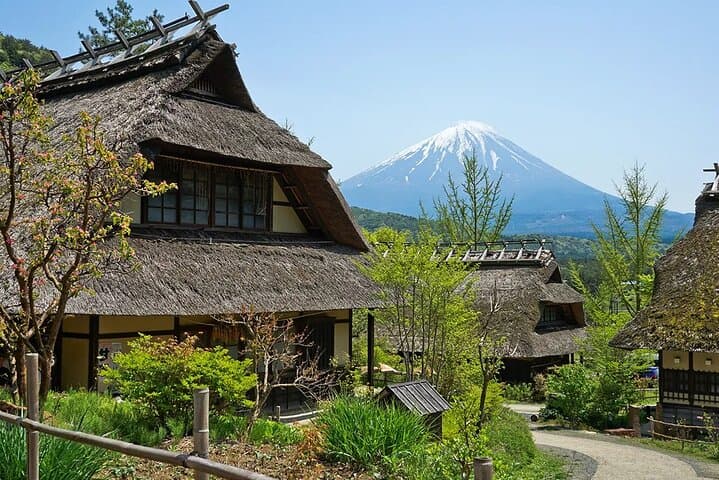 Mt Fuji Exploration Tour with Free Japanese Kusa Mochi from Tokyo — photo 13