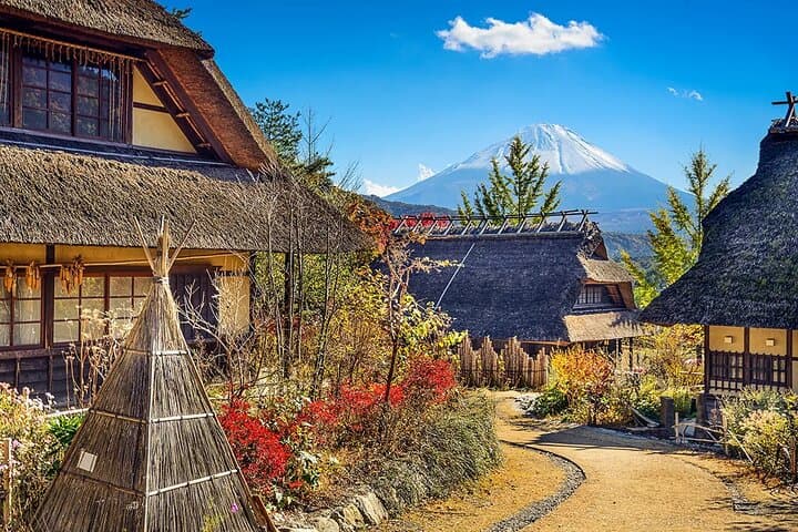 Mt Fuji Exploration Tour with Free Japanese Kusa Mochi from Tokyo — photo 15