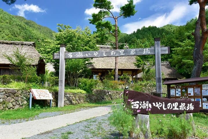 Mt Fuji Exploration Tour with Free Japanese Kusa Mochi from Tokyo — photo 16