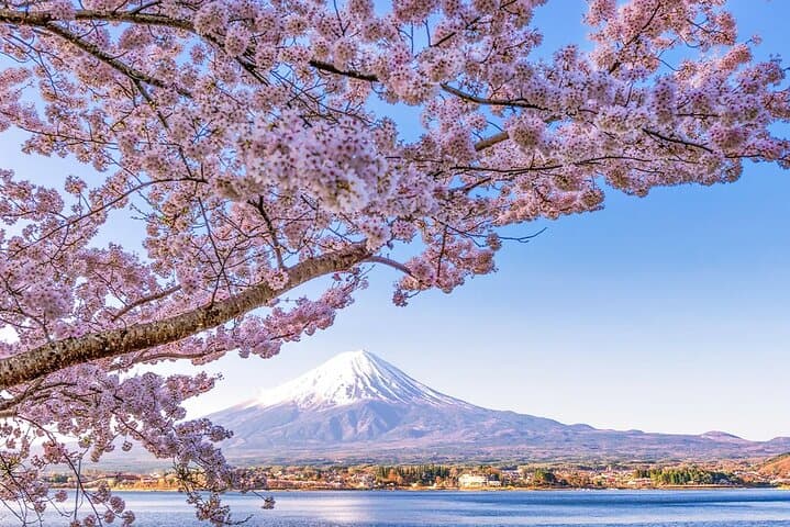 Mt Fuji Exploration Tour with Free Japanese Kusa Mochi from Tokyo — photo 17
