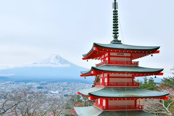 Mt Fuji Exploration Tour with Free Japanese Kusa Mochi from Tokyo — photo 18