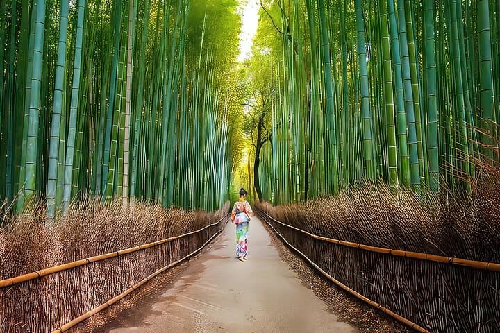 Ultimate Kyoto Arashiyama Tour: Bamboo, Monkeys & Hidden Gardens — photo 16