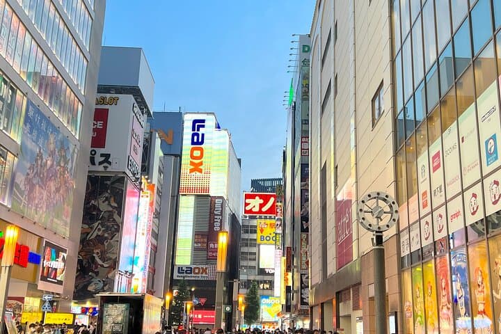Akihabara Tour with Anime and Video Games Otaku Licensed Guide — photo 1