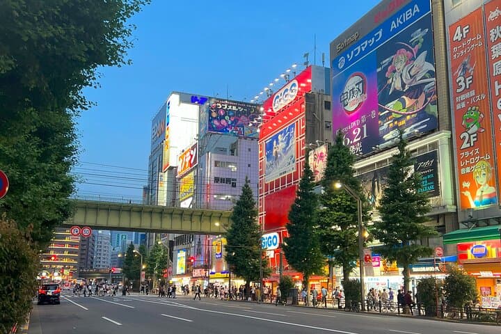 Akihabara Tour with Anime and Video Games Otaku Licensed Guide — photo 4