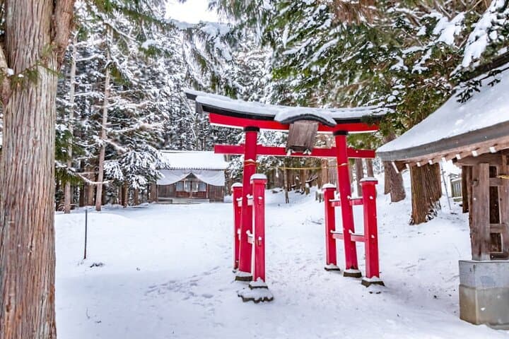From Tokyo: Nagano Snow Monkey Park Private Tour — photo 16